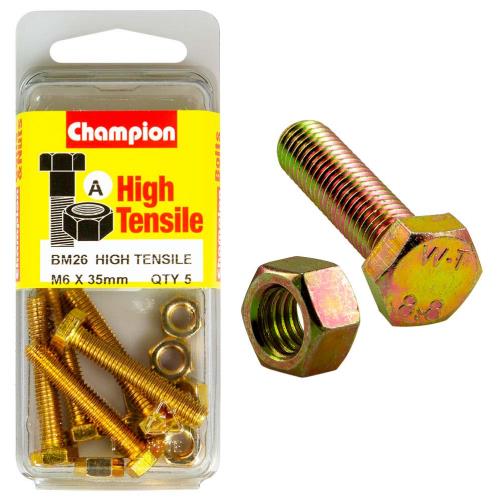 Champion M6 X 35 Set Screw & Nut A - Gr8.8