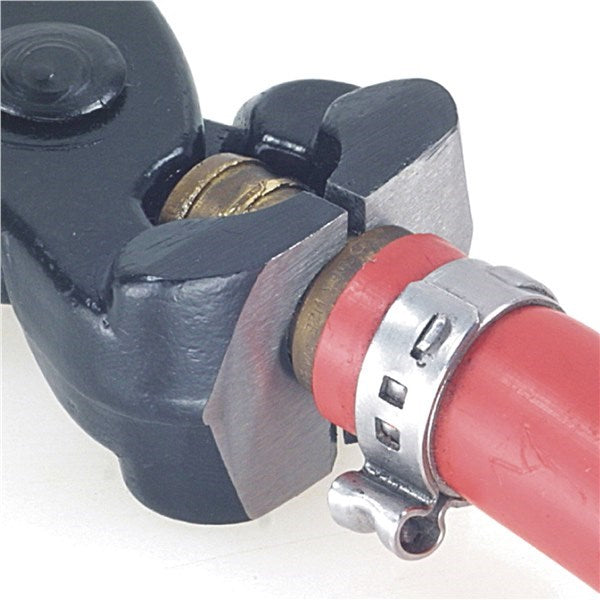 BS Double Ear Hose Clamp Pliers