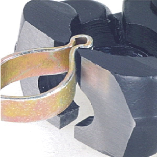 BS Double Ear Hose Clamp Pliers