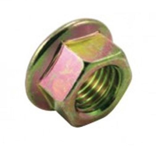 Champion M6 X 1.00 Hex Flange Nut -40Pk