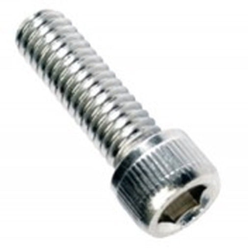 Champion M6 X 10mm Socket Cap Screw 316/A4 -10Pk