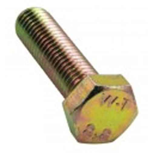 Champion M8 X 25mm X 1.00 Set Screw -Gr8.8 -10Pk