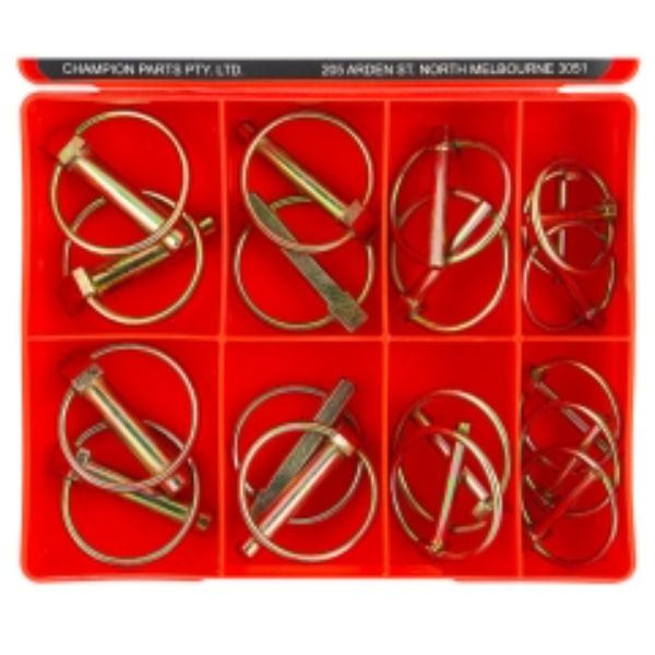 Champion 18Pc Lynch Pin Assortment