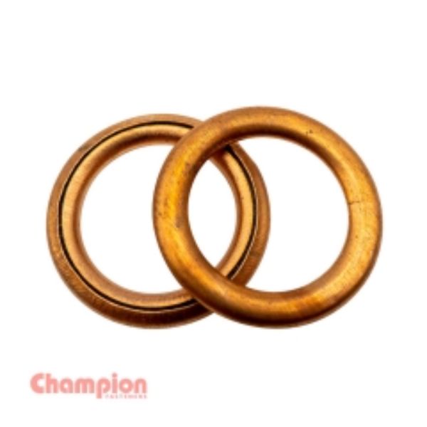 Champion 16 X 22 X 2mm Copper Sealing Washer