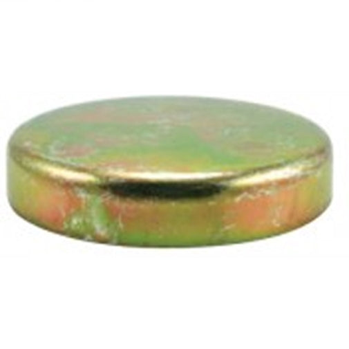 Champion 2 - 1/2In Brass Cup Plug - 10Pk