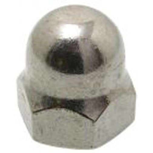 Champion 316/A4 M10 Dome Nut C