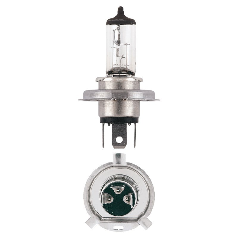 NARVA ARTIC PLUS 50 BULB SET H4