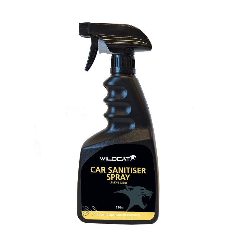 CAR SANITISER SPRAY 750ML