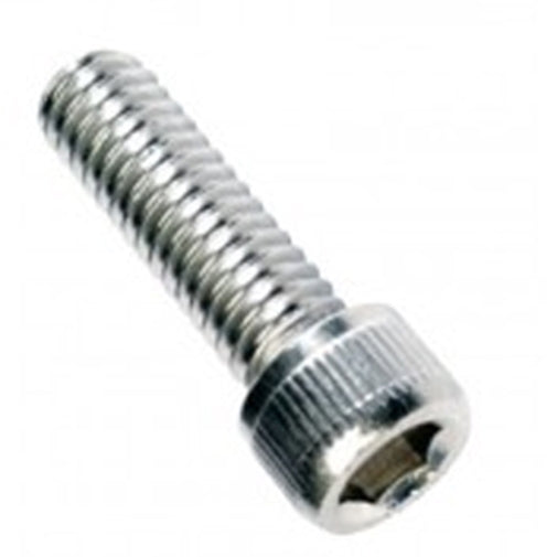 Champion 5/16In X 1-1/4In Bsw Socket Cap Screw 316/A4 -6Pk