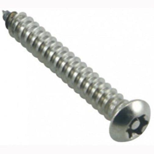 Champion 10G X 1In Self-Tapping Screw Pan Tpx 304/A2 -15Pk