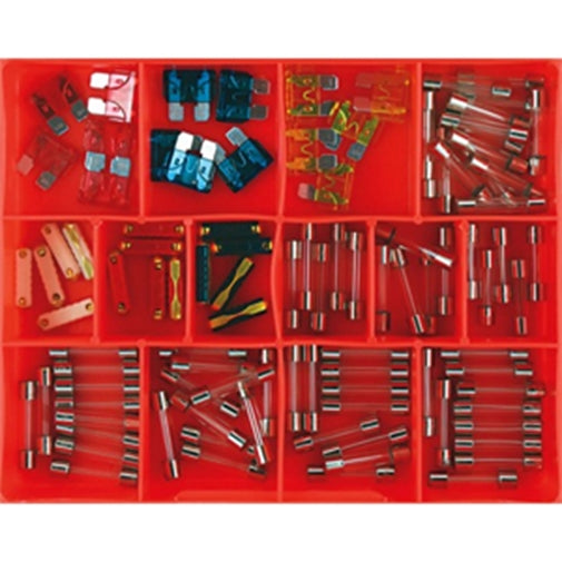 Champion 100Pc Auto Fuse Assortment Glass, Blade & Euro