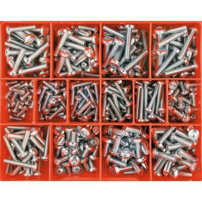 Champion 365Pc Torx Security Machine Screw Assortment Pan Hd