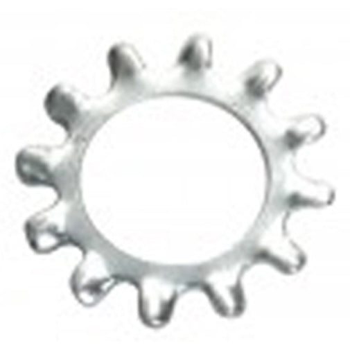 Champion 8mm External Star Washer - 100Pk