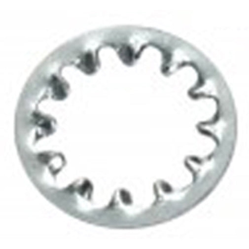 Champion 4mm Internal Star Washer - 100Pk