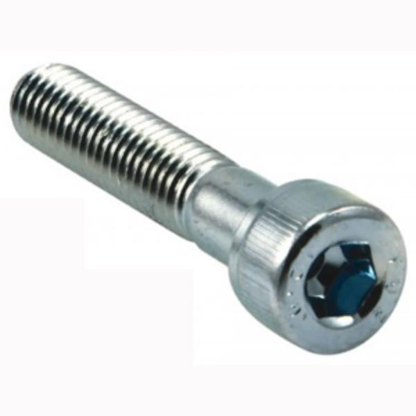 Champion M3 x 25 Socket HD Cap Screw