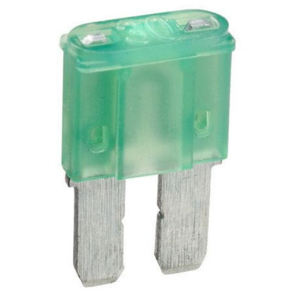 MICRO 2 BLADE FUSE 30AMP BOX OF 25