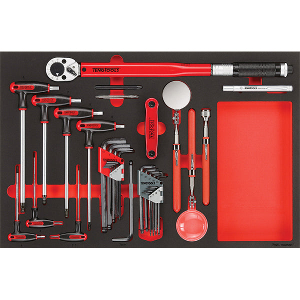 Teng 17pc Torque Wrench Hex/TX & insp Tool Set EVA