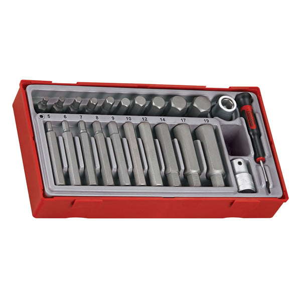 Teng 23pc Hex Bits Set 5-19Metric - TC-Tray