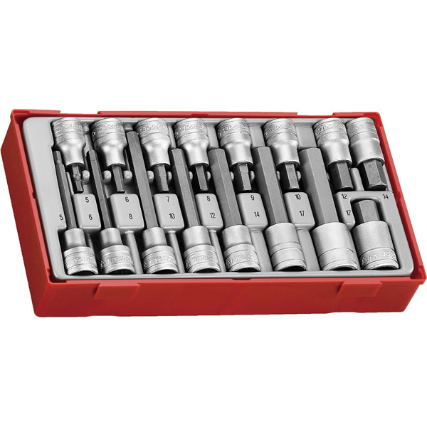 Teng 16pc 1/2in Dr. Hex Bit Skt Set - TC-Tray