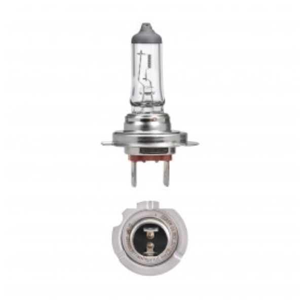 GLOBE HALOGEN H18 12V 65W PY26D-1